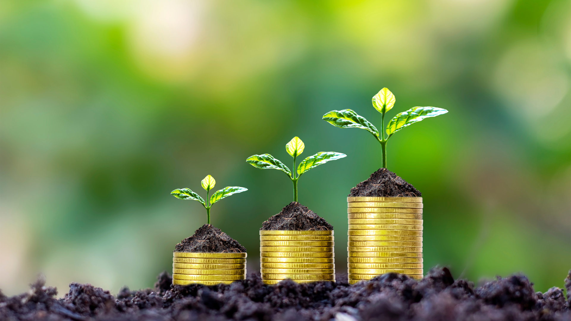 Wealth Planning