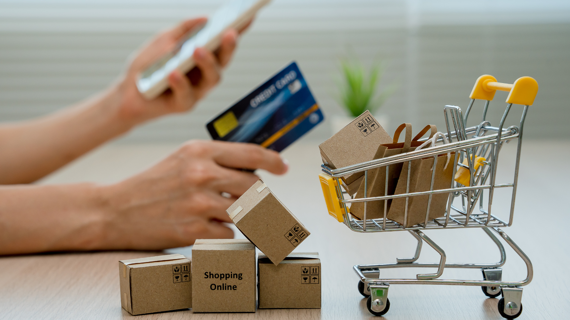 Digital Payments Services